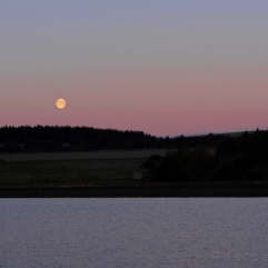 Moon at Sunrise | Redmires Reservoir Sheffield | © Postcard Cafe (s_1050579e)